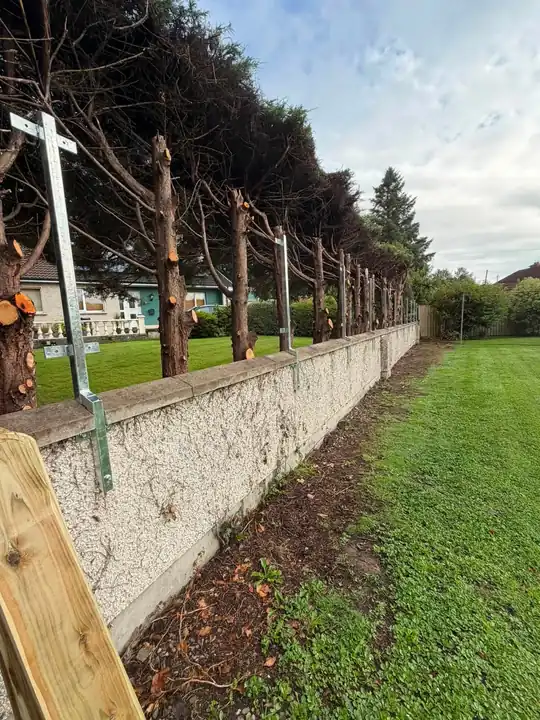Close up of a galvanised post bolted to the wall