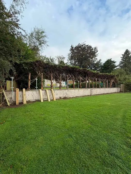 Galvanised fence posts fixed along the garden wall